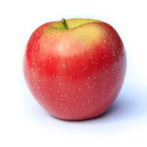 Honeycrisp - New York Apple Association